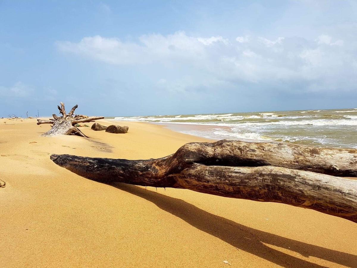 Sun Wind Beach Kalpitiya Kite Resort Exterior foto